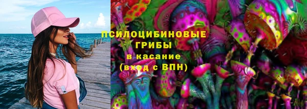 спайс Богородицк